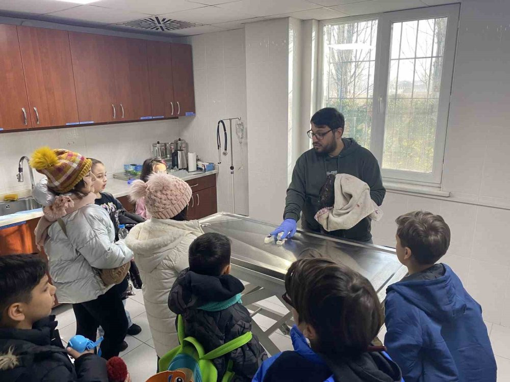 Hayvanat Bahçesi bu hafta minik misafirlerini ağırladı