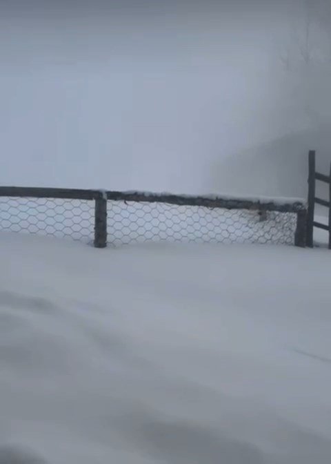 Korkutan anlar: Artvin’de çığ düştü