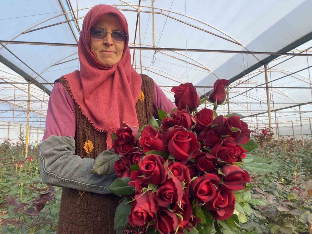 Sevgililer Günü gül üreticisinin yüzünü güldürecek! 1 demeti dudak uçuklatıyor