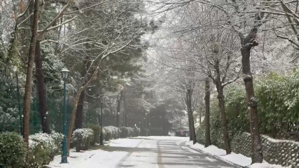 Beyaza büründü! Karın tadını çıkarmak için İstanbul'un en yüksek tepesine gittiler