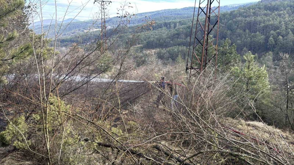 Bolu’da ormanlık alanda örtü yangın: 1 dönüm zarar gördü