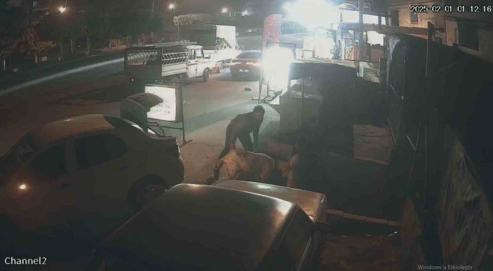 Film gibi hırsızlık! Hırsızlık anları anbean kaydedildi