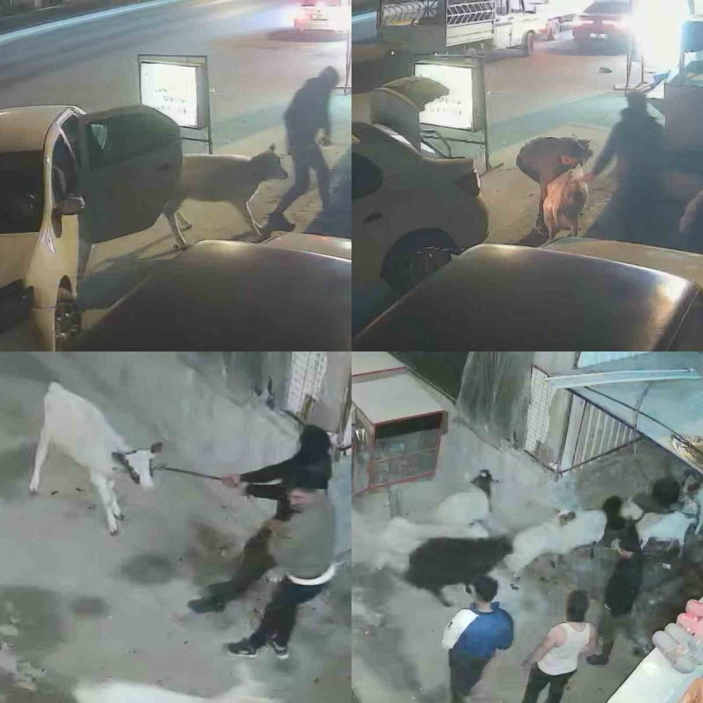 Film gibi hırsızlık! Hırsızlık anları anbean kaydedildi