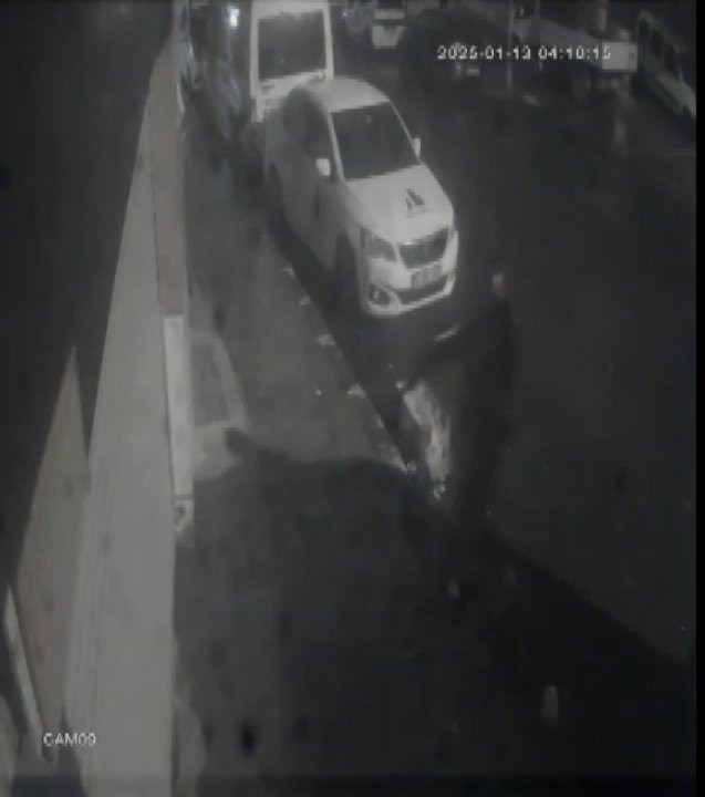 Harç çetesinin lideri kadın çıktı! Yere yatırıp ters kelepçe takıldı