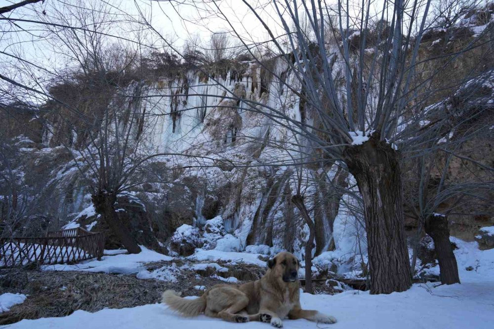 Buz tutan şelalede 2 metrelik buz sarkıtları oluştu