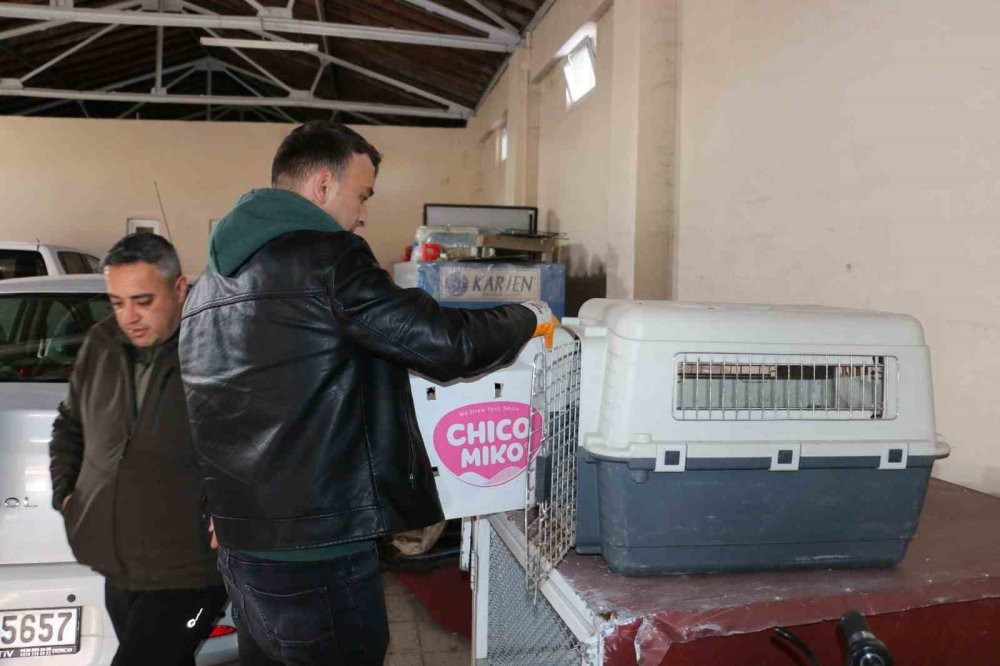 Erzincan’da ekipler seferber oldu