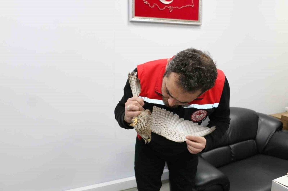 Erzincan’da ekipler seferber oldu