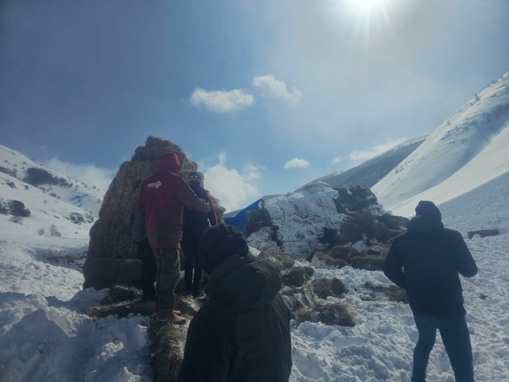 Ardahan'da çığ paniği! Bölgeye ekipler sevk edildi