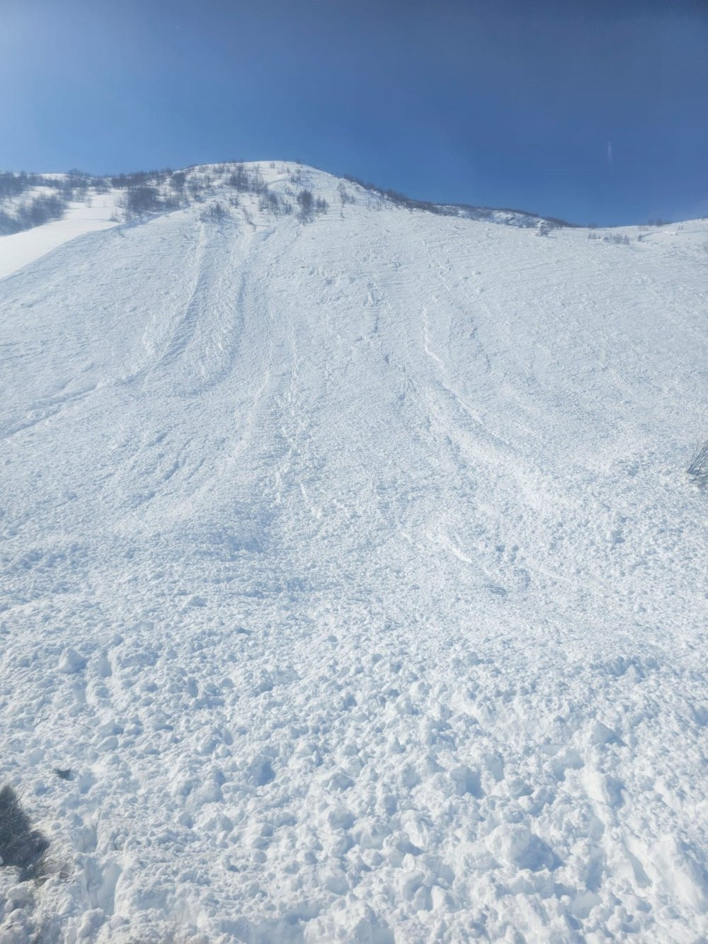 Ardahan'da çığ paniği! Bölgeye ekipler sevk edildi