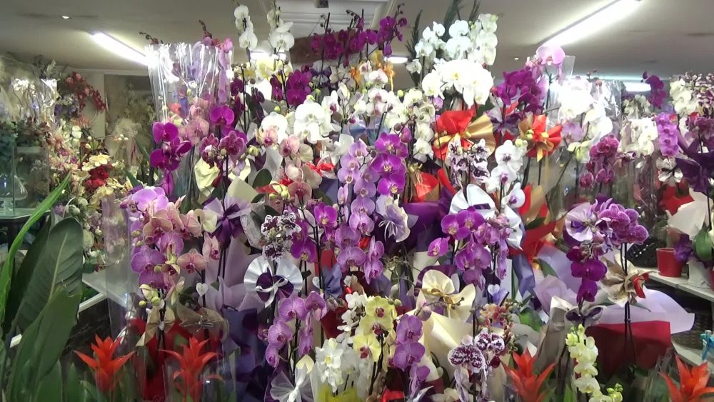 Edirneli çiçekçi: 14 Şubat beklentimizi karşılamadı