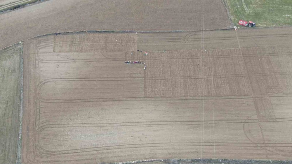 Beyaz altının sofralara uzanan yolculuğu başladı