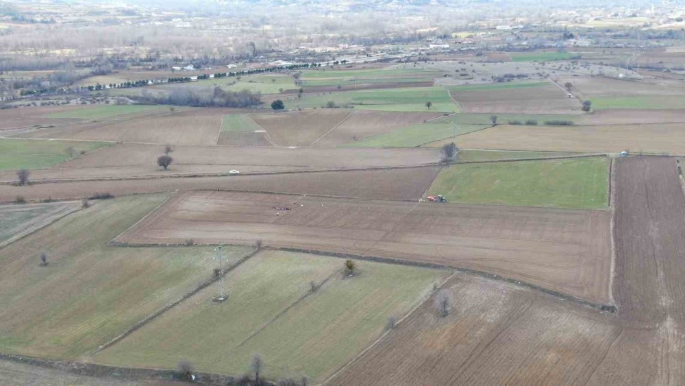 Beyaz altının sofralara uzanan yolculuğu başladı