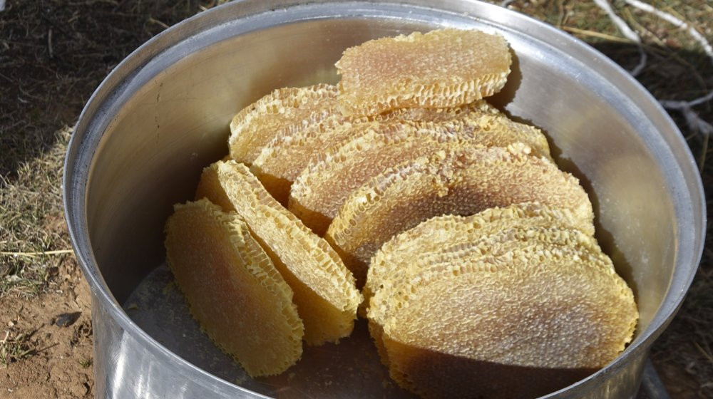 Bitlis’in efsanevi balına coğrafi işaret belgesi