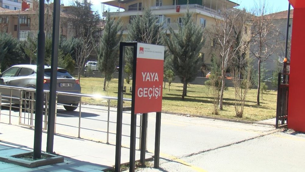Ankara- Hacı Bayram Veli Üniversitesi'nde köpek beslemek yasaklandı /Video eklendi