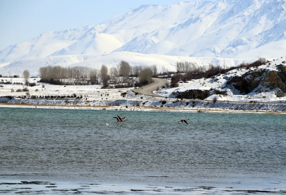 Jandarmadan doğa nöbeti