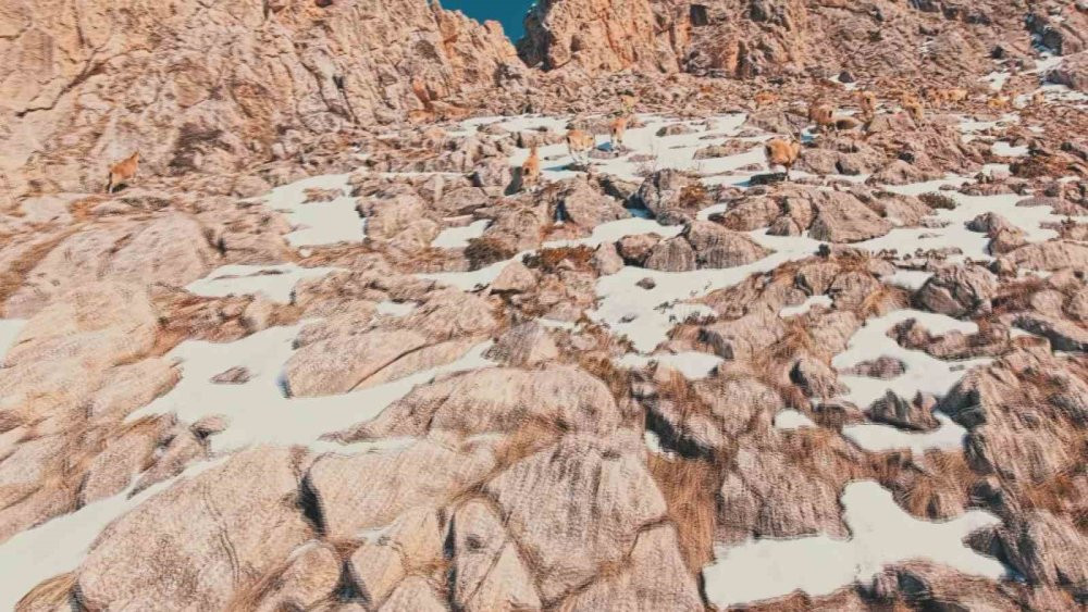 Görüntüleyebilmek için 1 hafta dağlarda gezdi