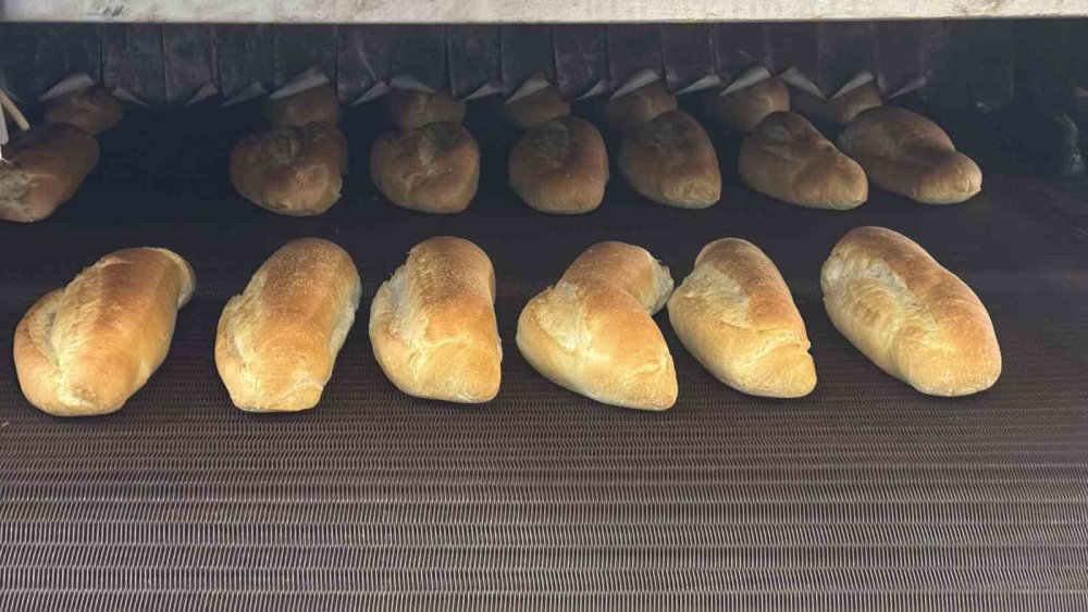 Günde 60 bin ekmek üretiliyor