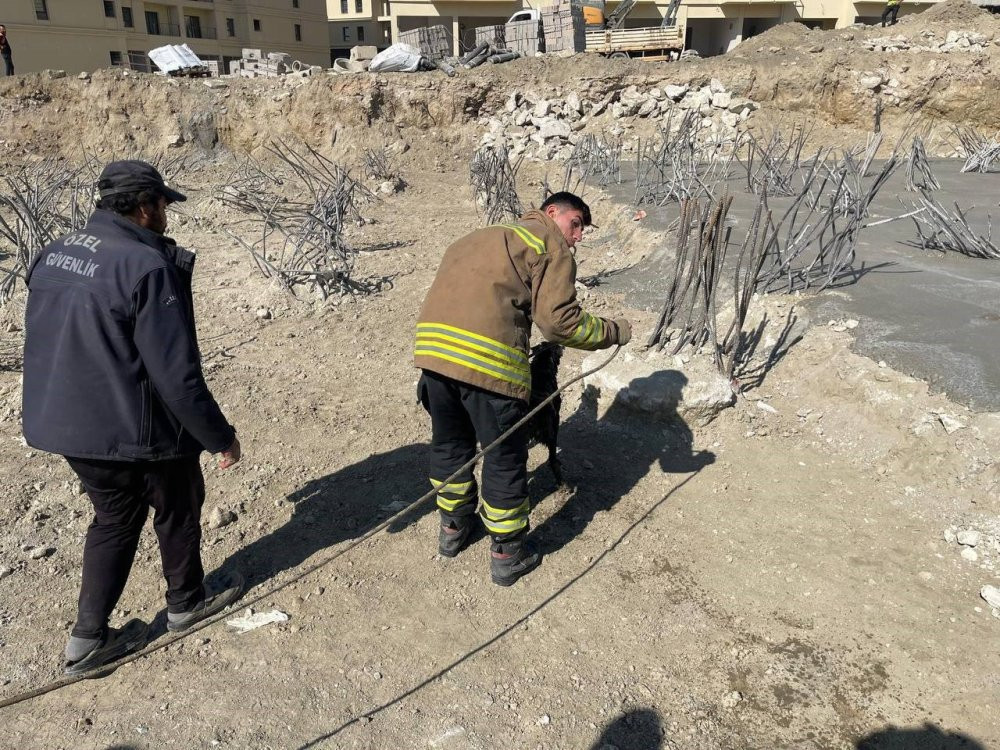 15 metrelik çukurdan mucize kurtuluş