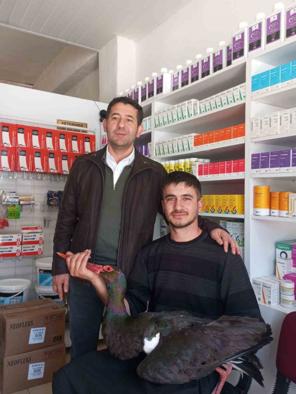 Adana’da nesli tükenme tehlikesinde kara leylek göç yolu üzerinde yaralı Bulundu