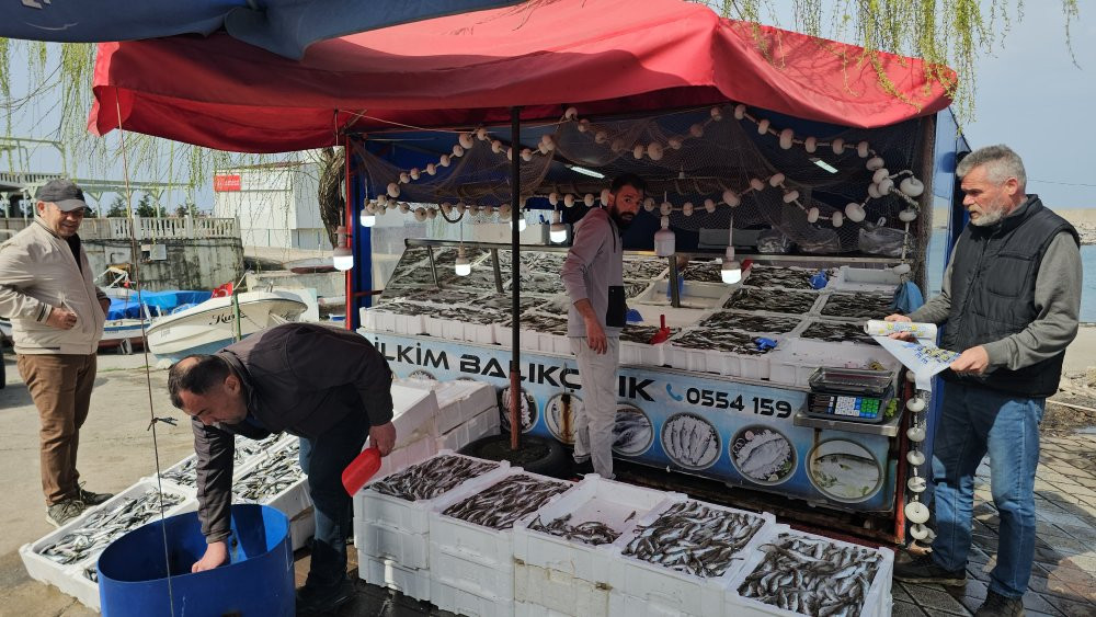 Kozlu halkı balığa doyacak! 10 ton istavrit ve mezgit yakaladı: 50 liradan satıyor: Geliri ihtiyaç sahiplerine