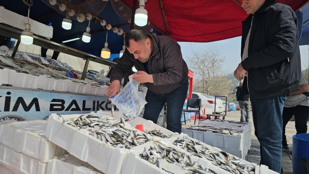 Kozlu halkı balığa doyacak! 10 ton istavrit ve mezgit yakaladı: 50 liradan satıyor: Geliri ihtiyaç sahiplerine