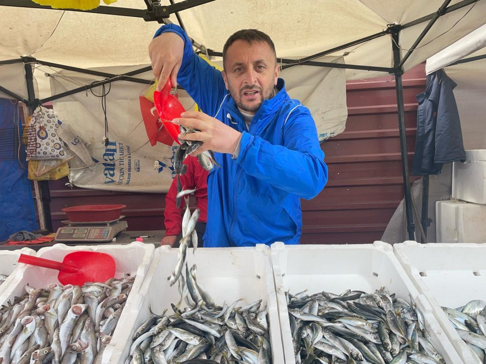 Kozlu halkı balığa doyacak! 10 ton istavrit ve mezgit yakaladı: 50 liradan satıyor: Geliri ihtiyaç sahiplerine