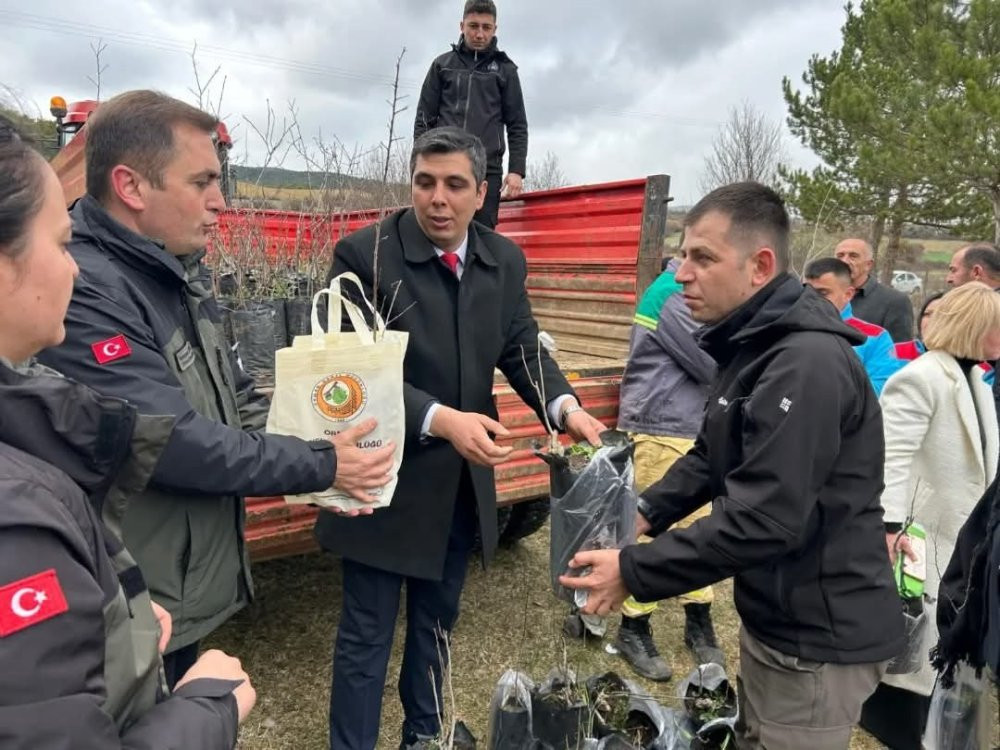 Şehit ve gaziler için fidan dikildi