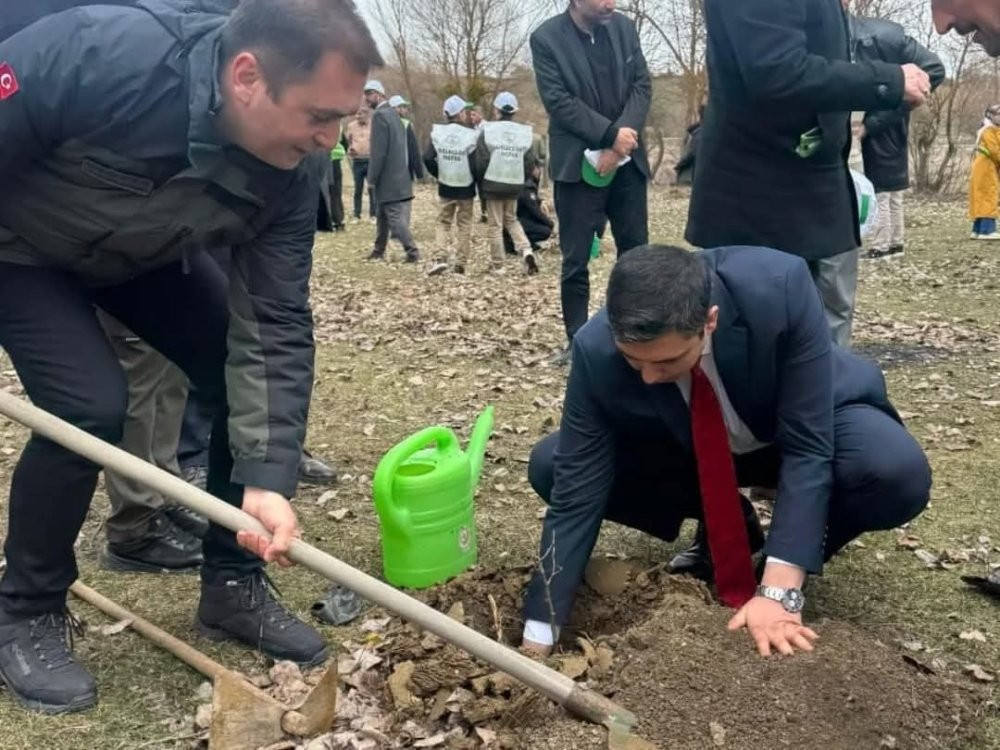 Şehit ve gaziler için fidan dikildi