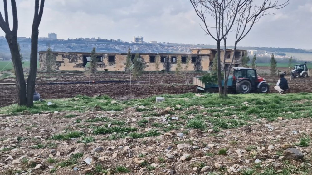 Sit alanını araziyi işgale kalkıştı! Başına silah dayayıp direndi
