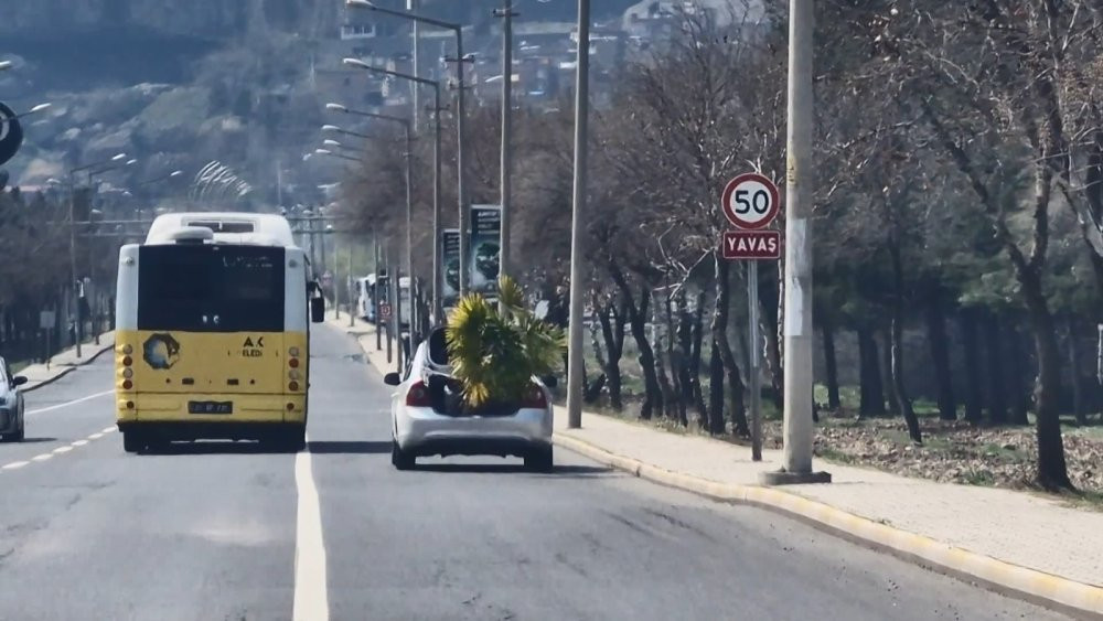 Sit alanını araziyi işgale kalkıştı! Başına silah dayayıp direndi