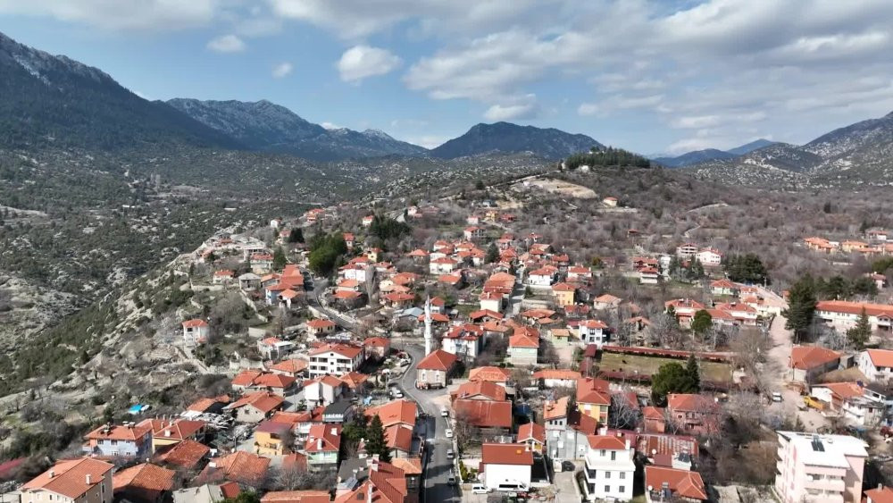 Doğadaki yılkı atları unutulmadı! Saman balyası bırakıldı