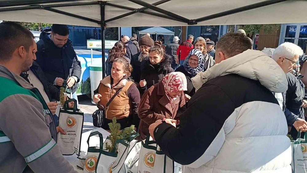 Edirne’de çam fidanı dağıtıldı