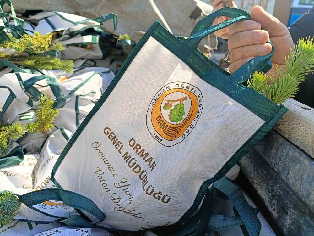 Edirne’de çam fidanı dağıtıldı