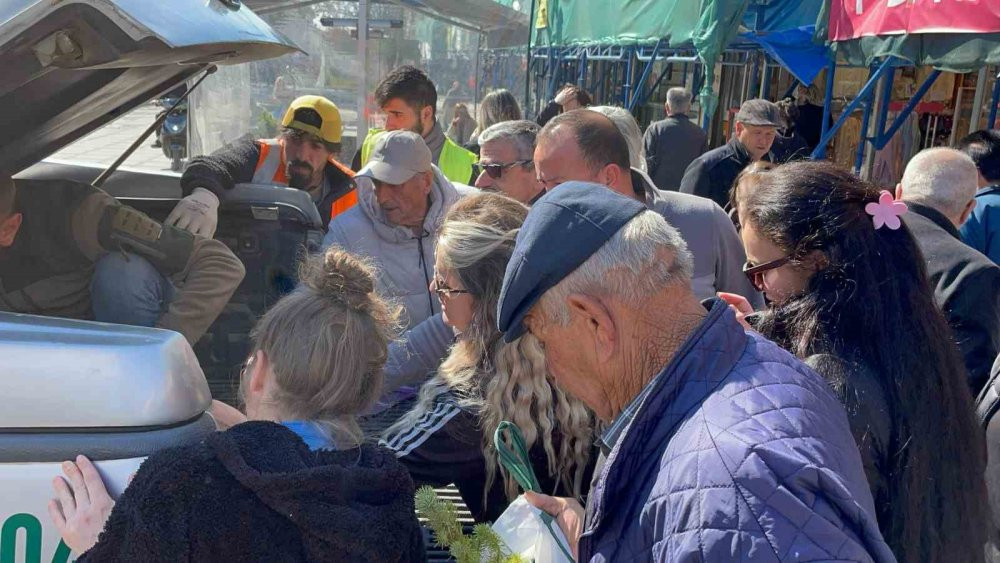 Edirne’de çam fidanı dağıtıldı