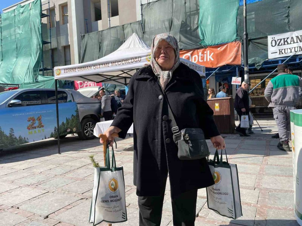 Edirne’de çam fidanı dağıtıldı
