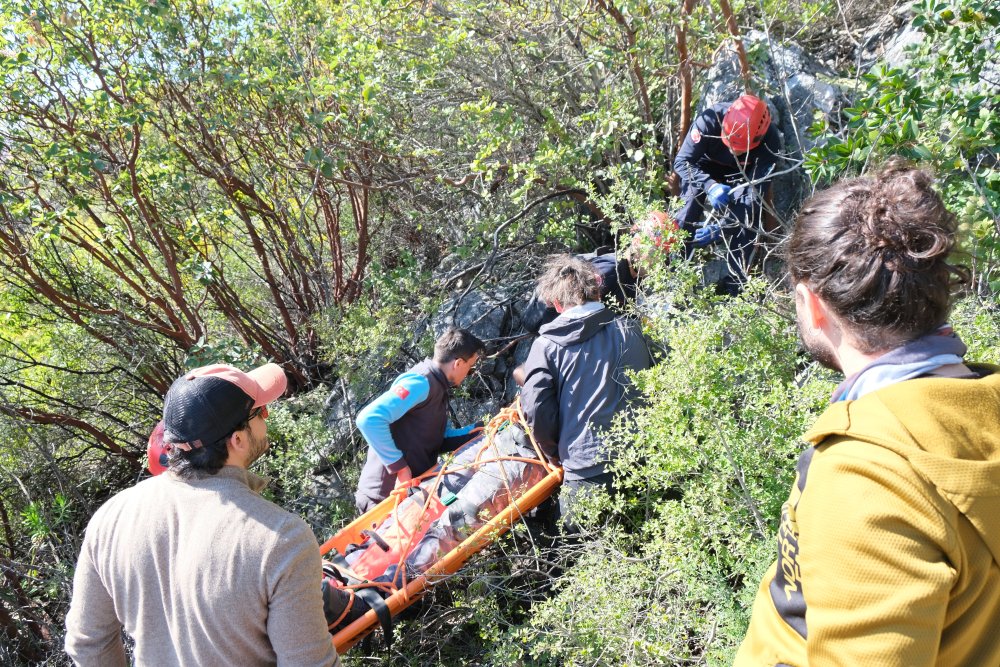 650 metrede kontrolü kaybetti! Antalya'da ormanda nefesler tutuldu