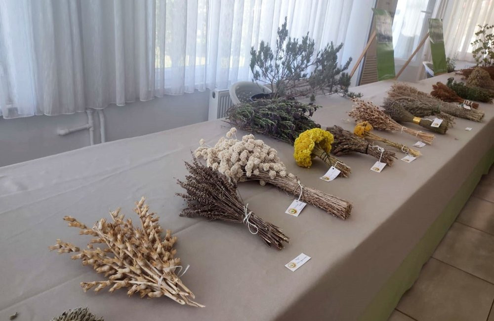 Doğanın güzellikleri bir arada