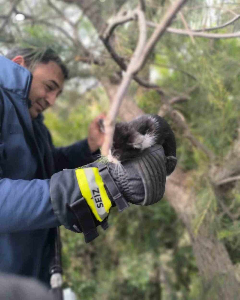 Ağaçta mahsur kalan kediyi itfaiye kurtardı