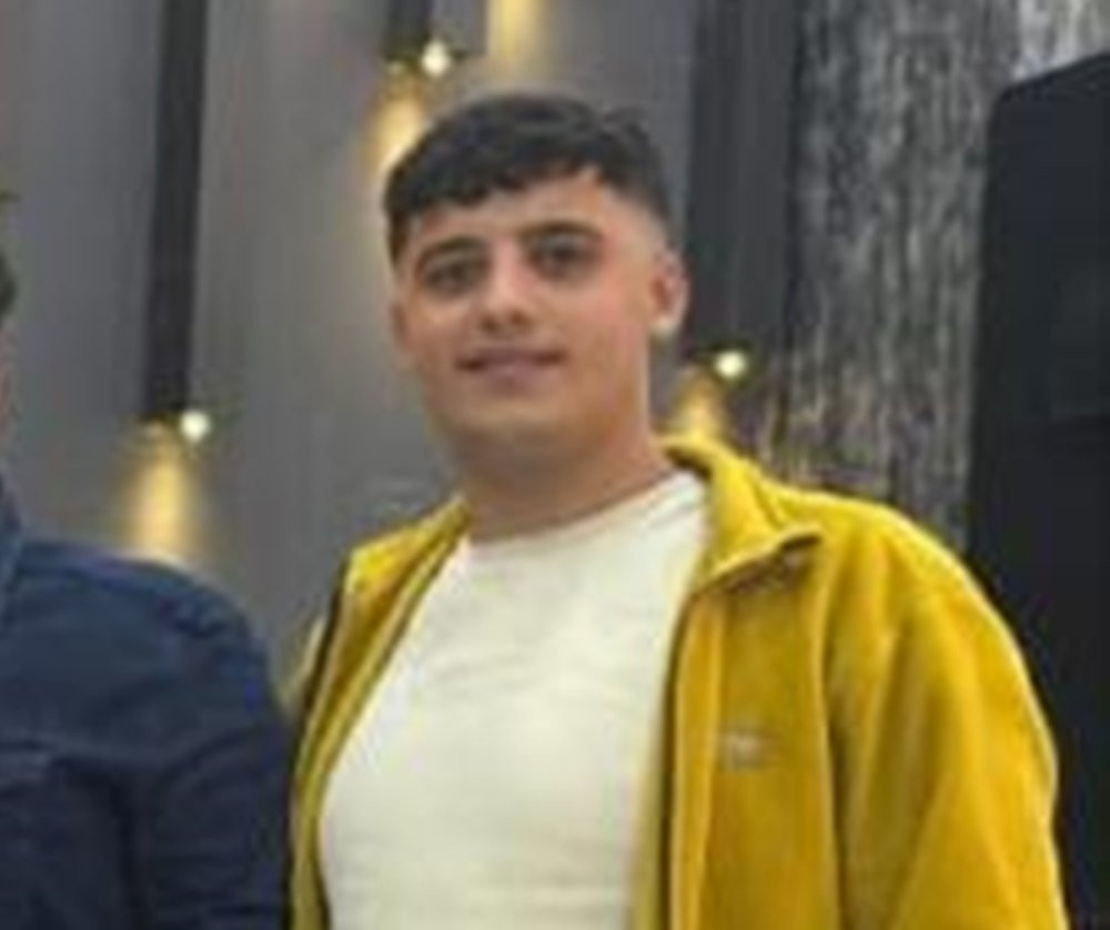 Düğünden dönüşte facia! Yola çıkan domuz ölüm getirdi: 1 ölü, 6 yaralı