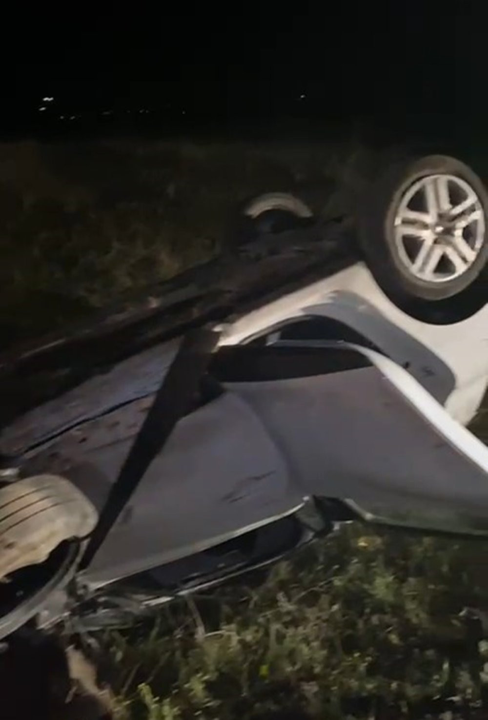 Düğünden dönüşte facia! Yola çıkan domuz ölüm getirdi: 1 ölü, 6 yaralı