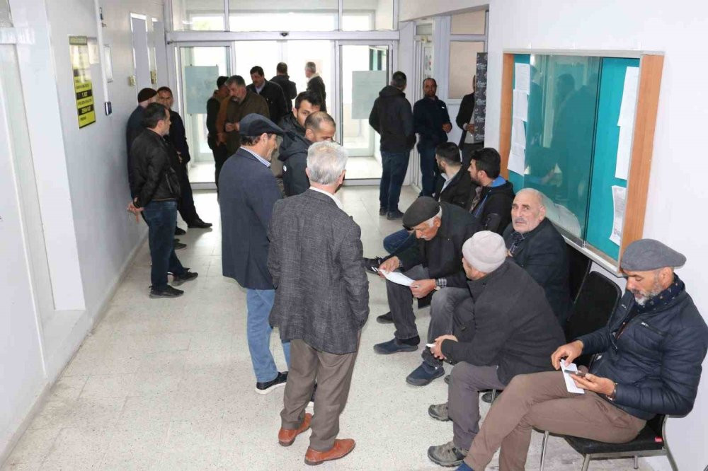 Çok sayıda mera ihaleye çıkarıldı