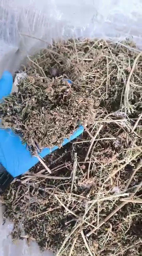 Denizli’de jandarmadan zehir tacirine baskın! Mavzer silah el geçirildi