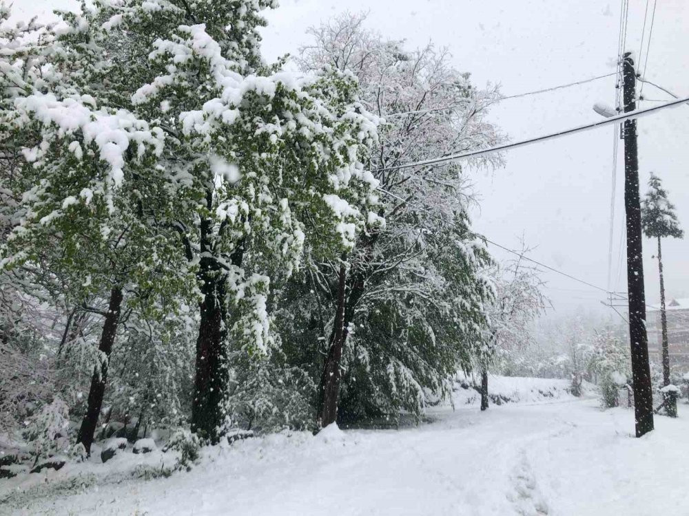 Ordu’da Nisan ayında yağan kar, üreticileri endişelendirdi: Fındık üreticileri teyakkuzda