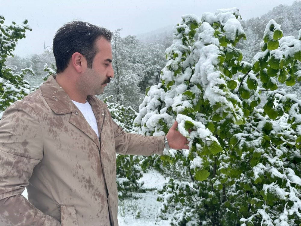 Ordu’da Nisan ayında yağan kar, üreticileri endişelendirdi: Fındık üreticileri teyakkuzda
