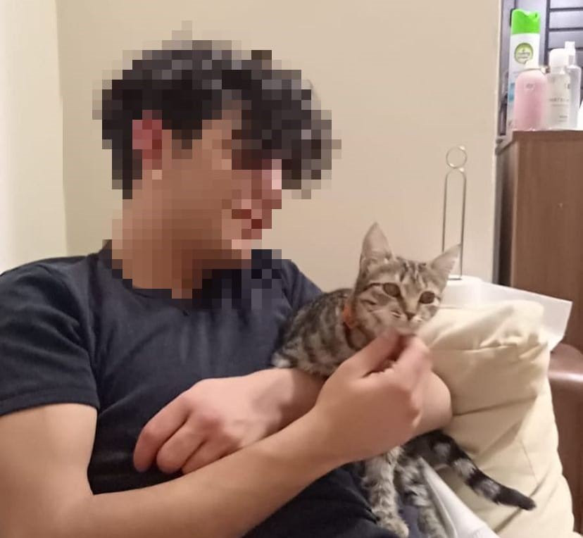 Sahte içkiden tedavi görüyordu! Taha yaşam savaşını kaybetti