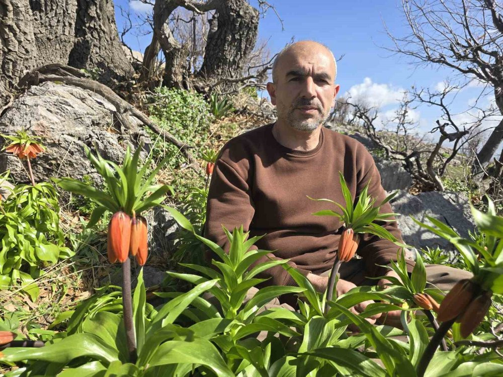 Ağlayan Gelinler açtı! Görüntüyü çekmek için sabahın erken saatlerinde yola çıkıyorlar