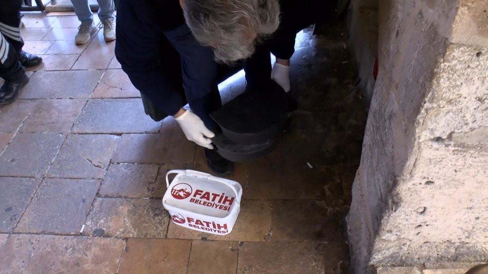 İstanbul’da tarihi çarşıda fare ve böcek avı