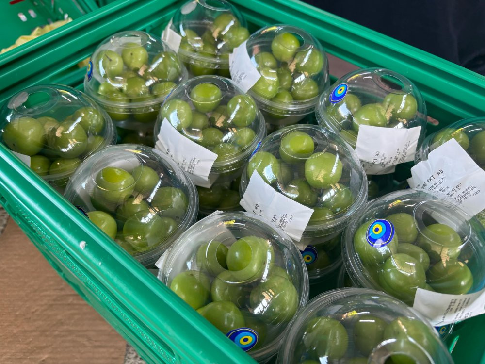 Mersin’de Erik hasadı başladı: Don vurdu: Rekolte alarm verdi