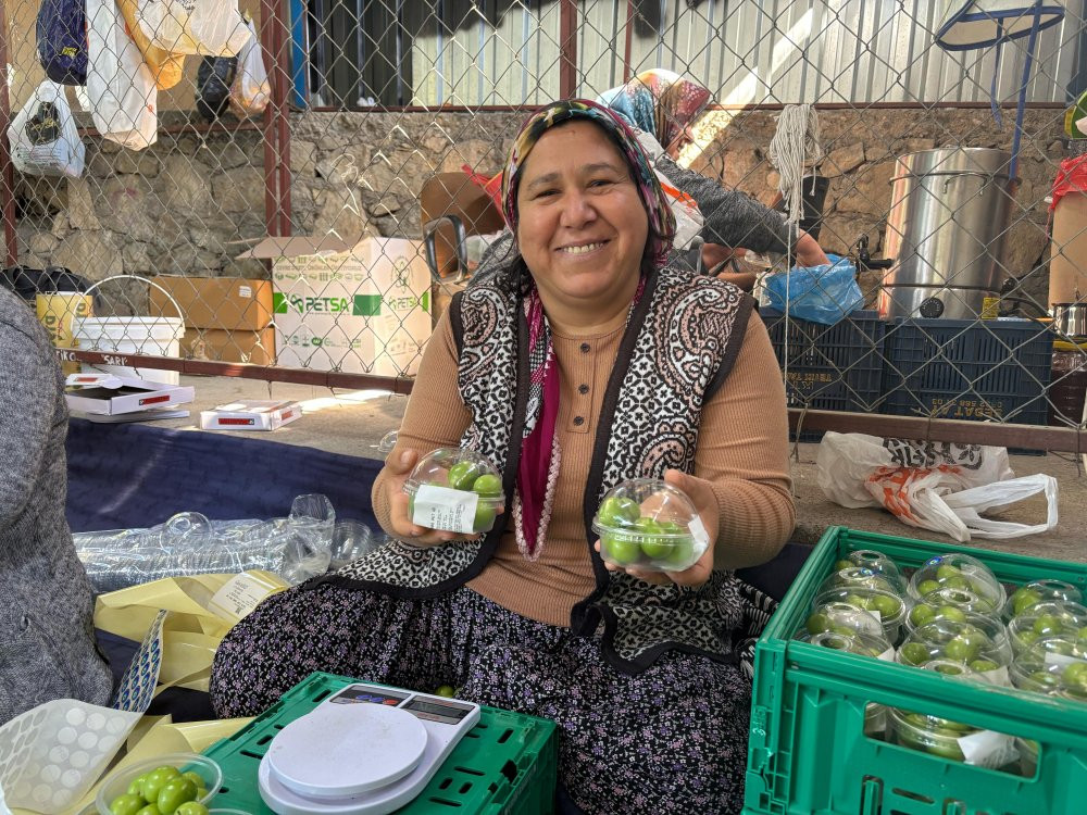 Mersin’de Erik hasadı başladı: Don vurdu: Rekolte alarm verdi