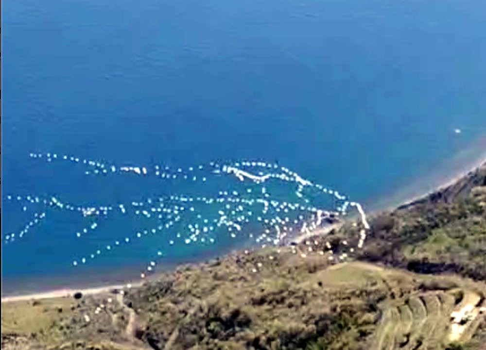 Pelikanlar gökyüzünü süsledi!